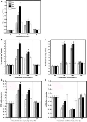 Interaction of Polyamines, Abscisic Acid, Nitric Oxide, and Hydrogen Peroxide under Chilling Stress in Tomato (Lycopersicon esculentum Mill.) Seedlings